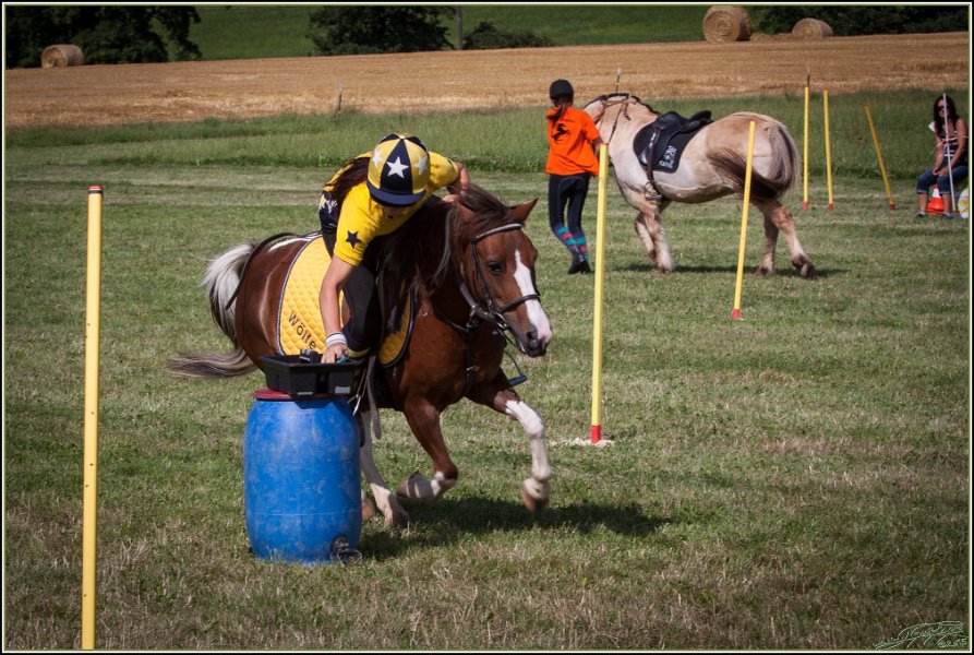 Mounted Games 307